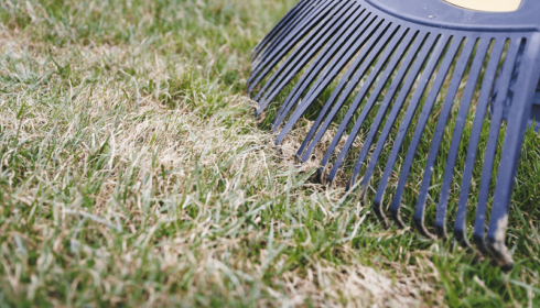 Pavasario darbai. Patarimais dalijasi agronomas – praktikas, „Sprendimai vejai“ įkūrėjas Valdemaras Mediekša.